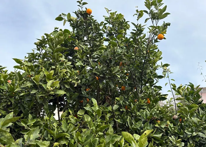 Villa Henry Playa de Palma (Mallorca)